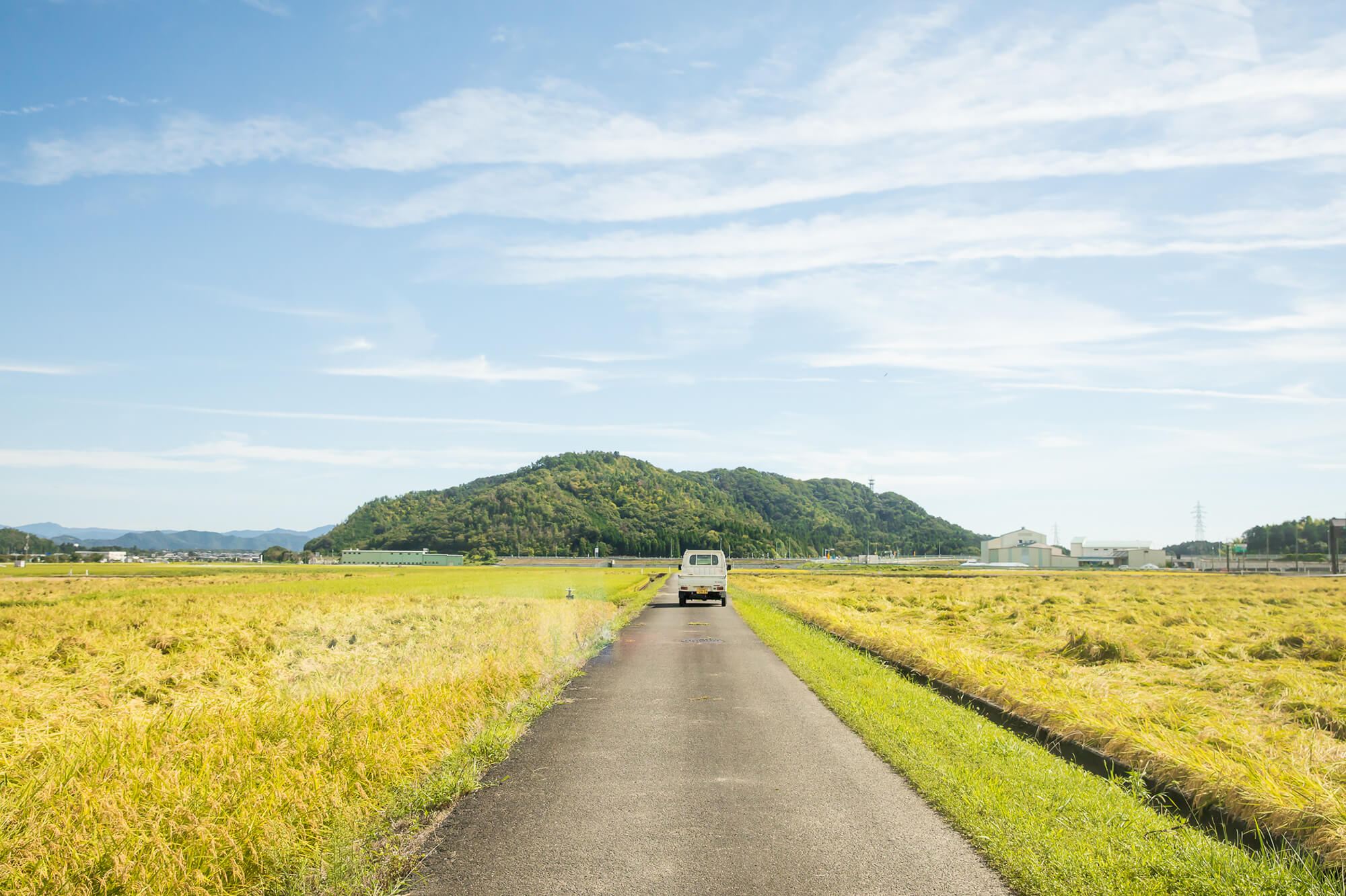 田んぼの中の一本道